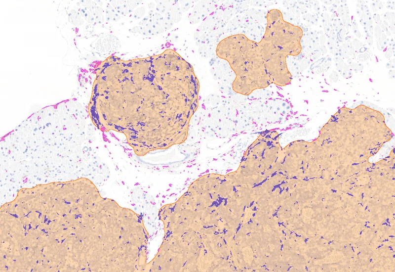 Dynamic Content Image